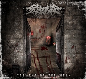Scordatura-Torment_Of_The_Weak