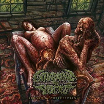 Extirpating The Infected - Reborn In Putrefaction