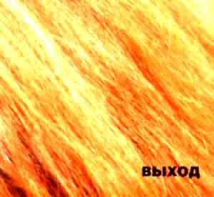 Выход - Рыжый альбом