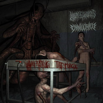 Nasty Surgeons / Carnivoracy - Infesting The Morgue. Split