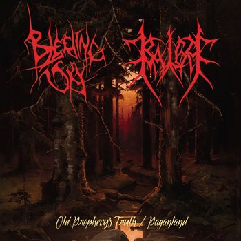 Bleeding Sky / Balga - Old Prophecy Truth/ Paganland. Split CD
