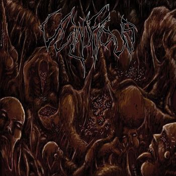 Vulnificus - Inclination